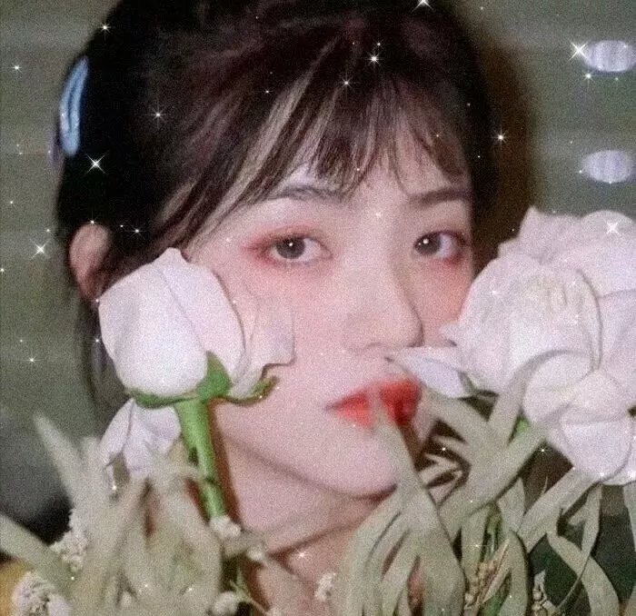 精灵小王子